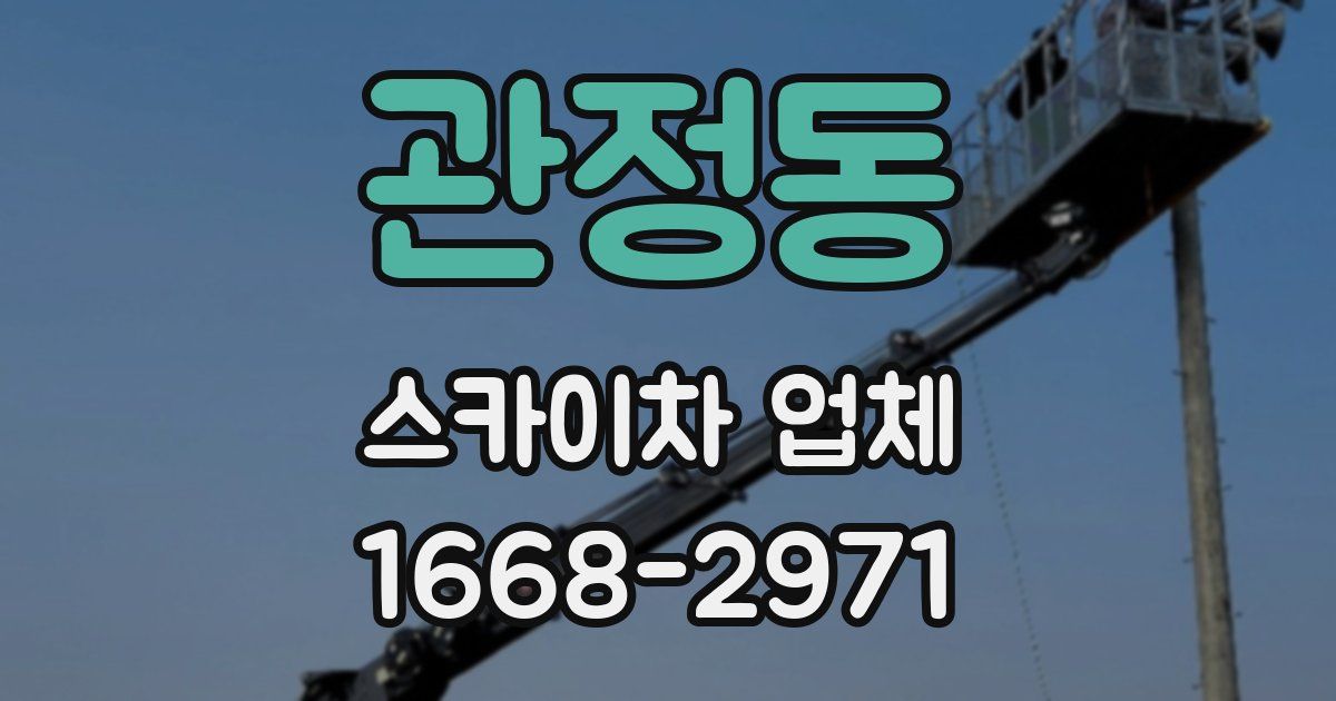 관정동 스카이차 업체