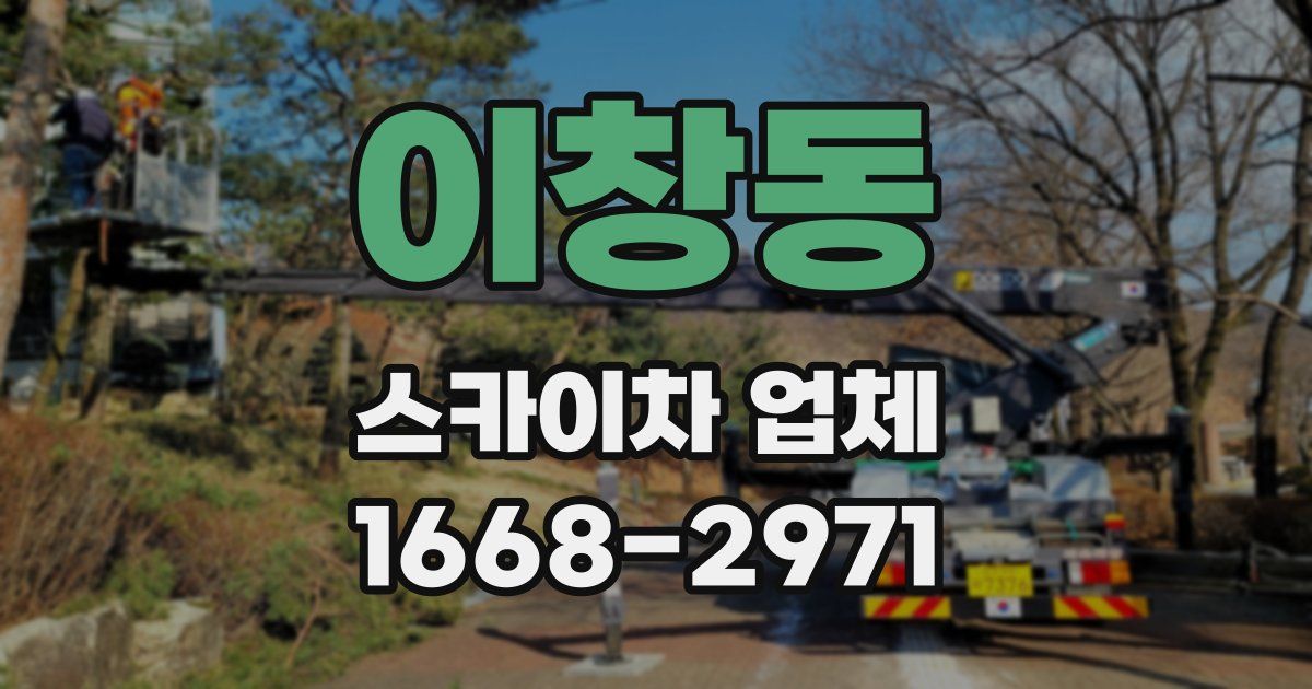 이창동 스카이차 업체