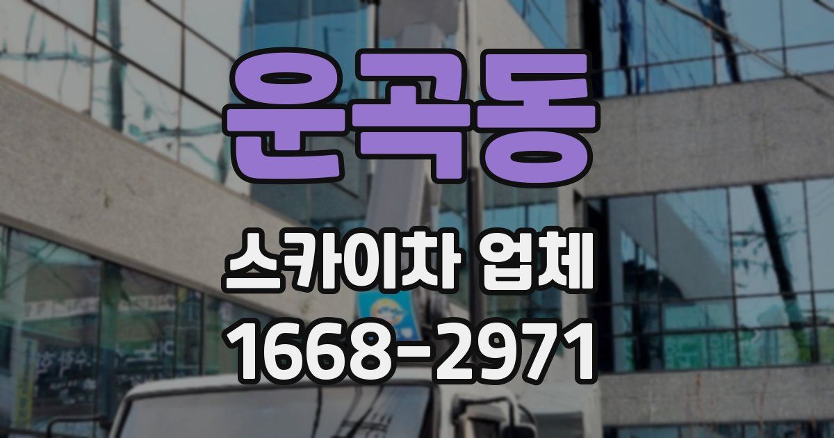 운곡동 스카이차 업체