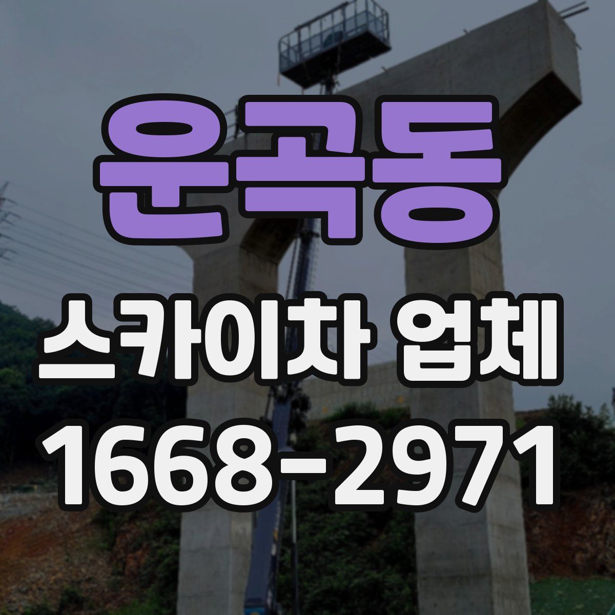 운곡동 스카이차 업체