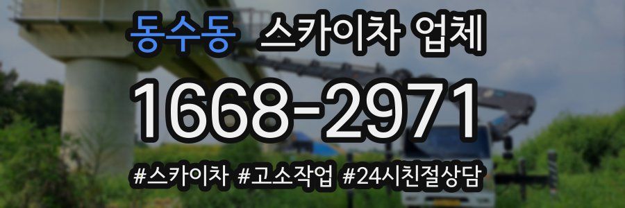 동수동 스카이차 업체
