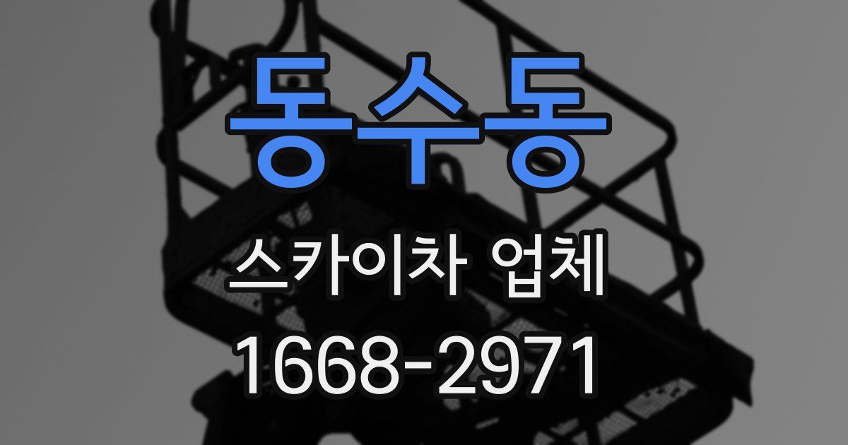 동수동 스카이차 업체