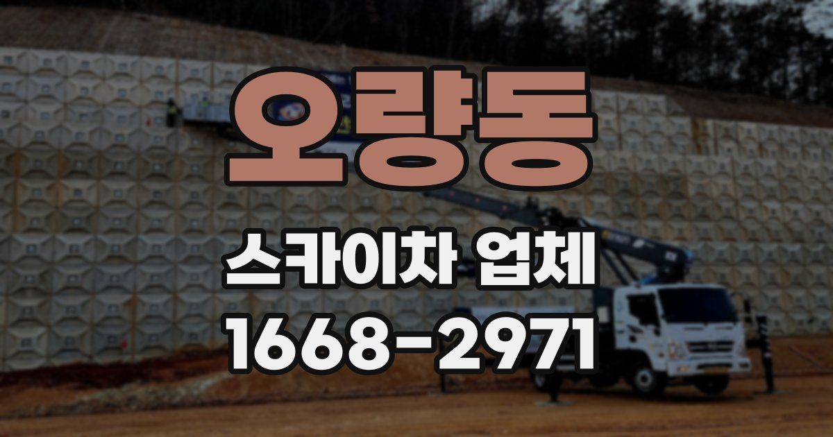 오량동 스카이차 업체