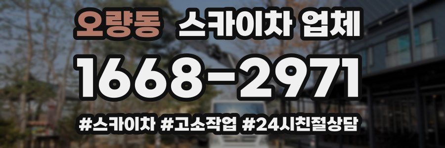 오량동 스카이차 업체