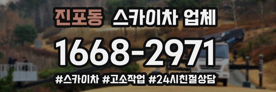 진포동 스카이차 업체