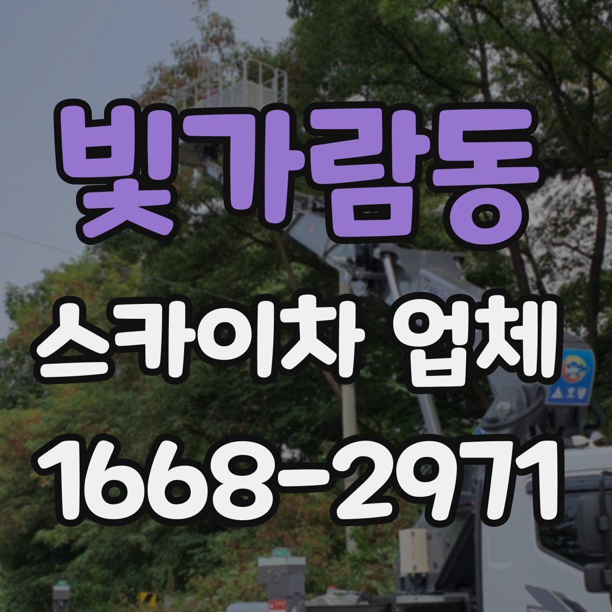 빛가람동 스카이차 업체