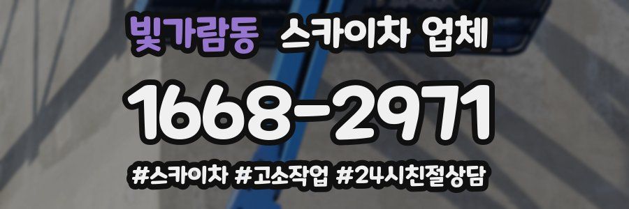 빛가람동 스카이차 업체
