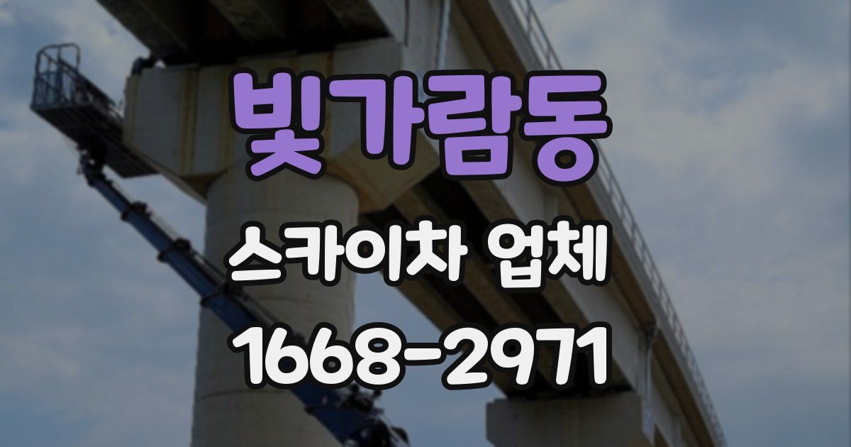 빛가람동 스카이차 업체