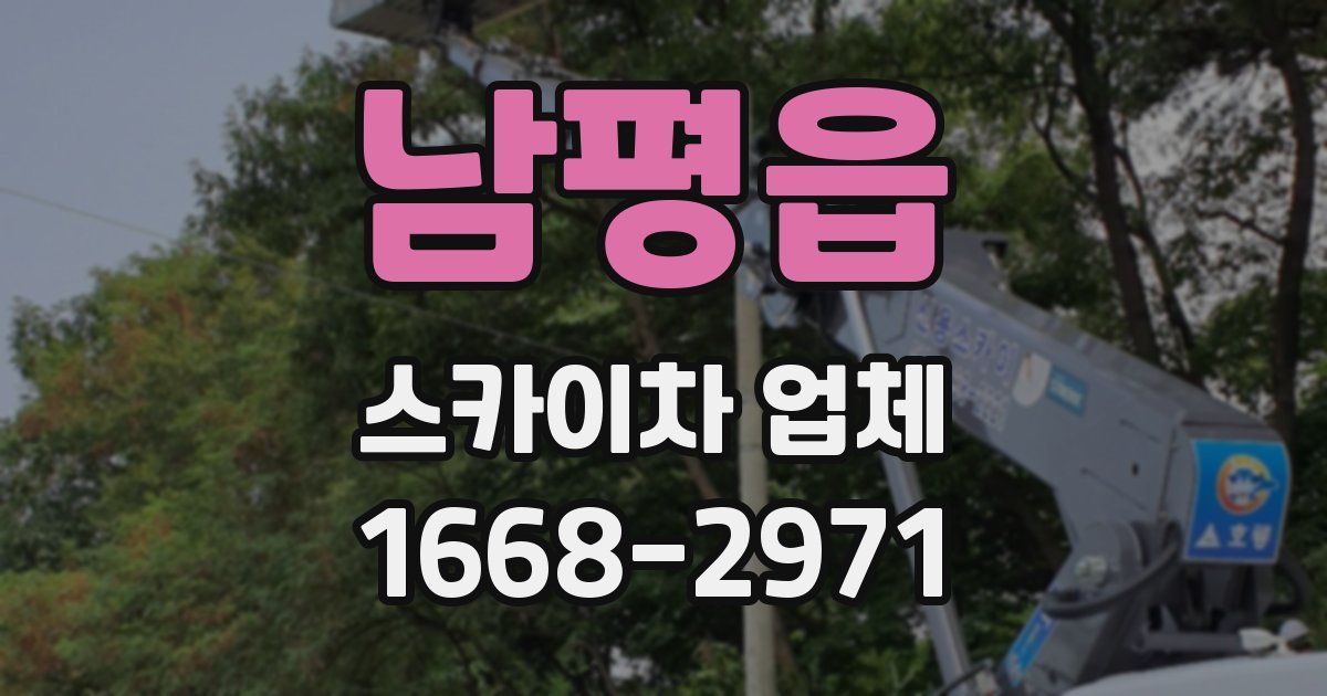남평읍 스카이차 업체