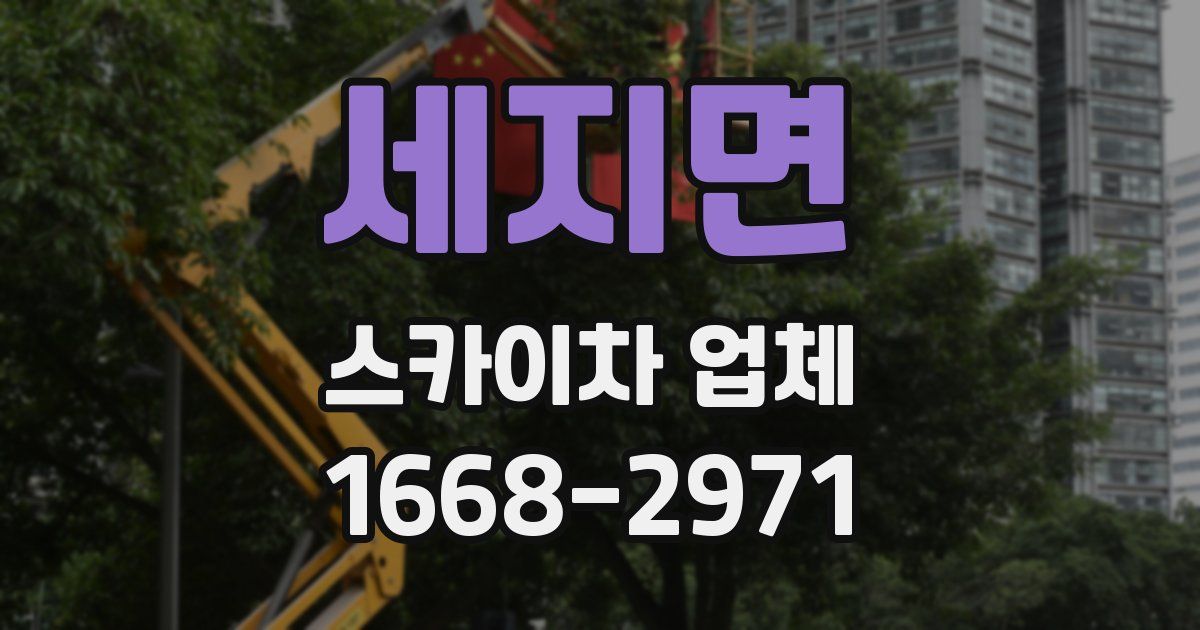 세지면 스카이차 업체