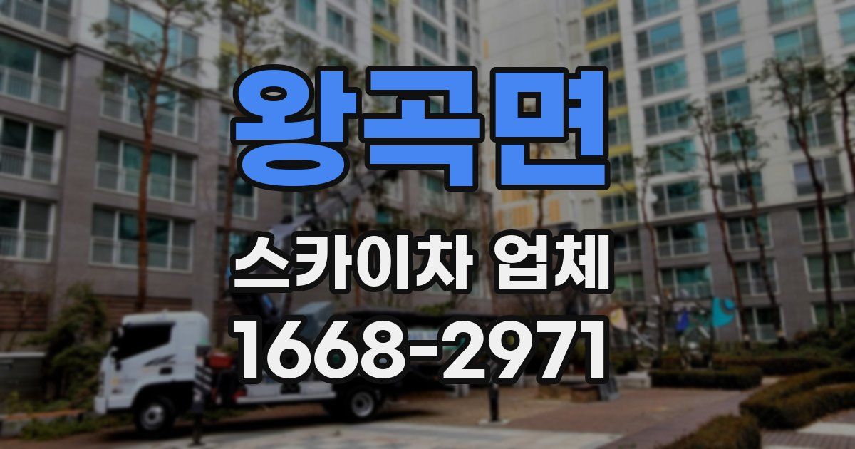 왕곡면 스카이차 업체