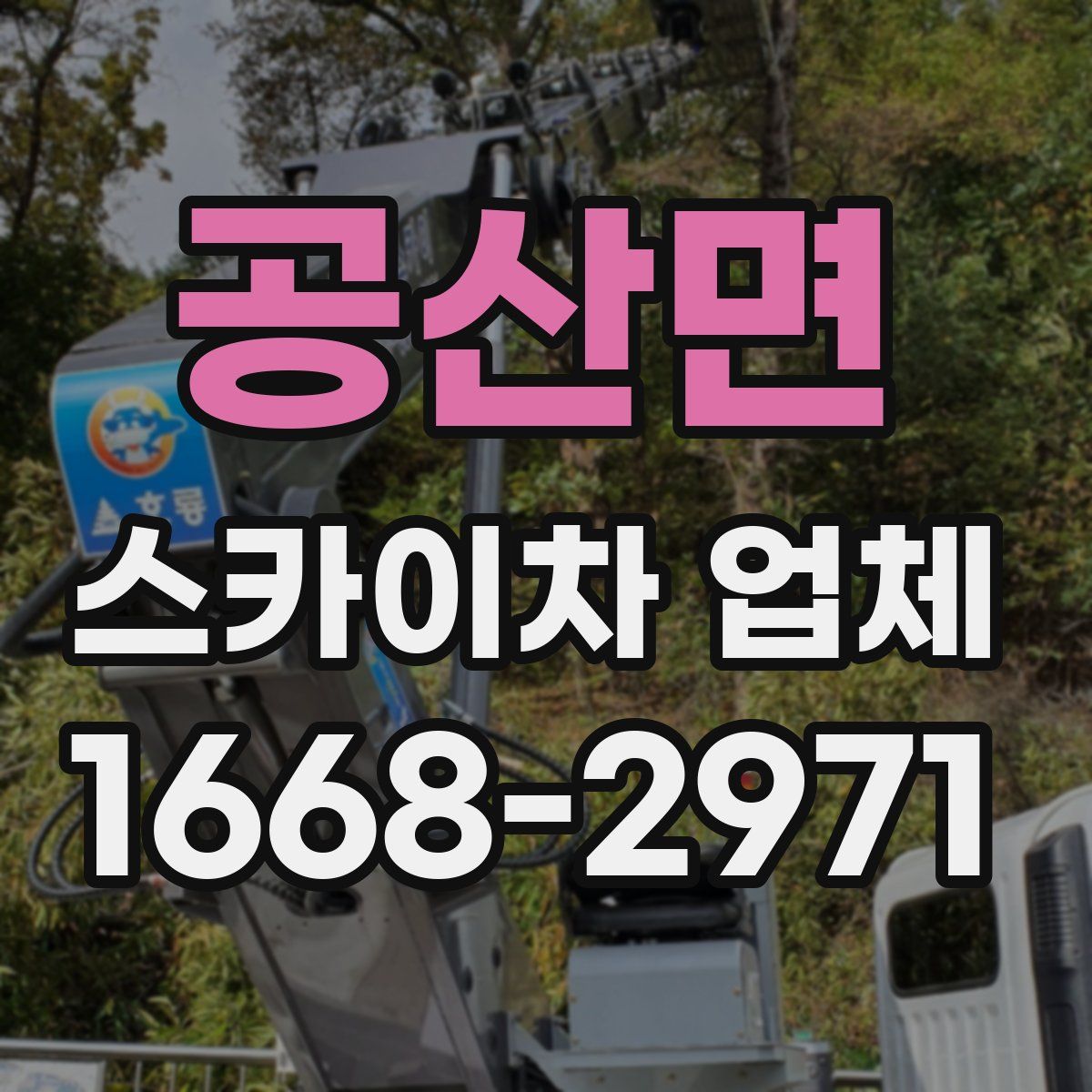 공산면 스카이차 업체