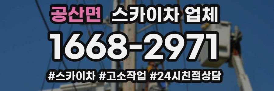 공산면 스카이차 업체