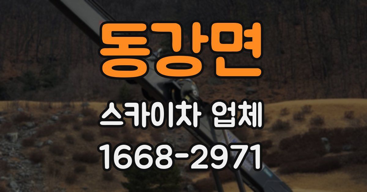 동강면 스카이차 업체