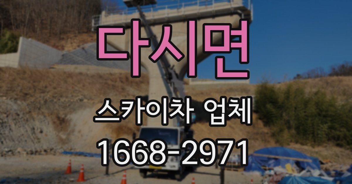 다시면 스카이차 업체