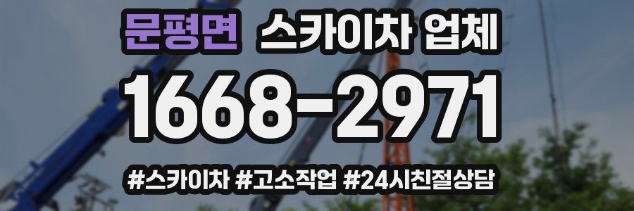 문평면 스카이차 업체