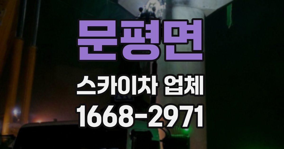 문평면 스카이차 업체
