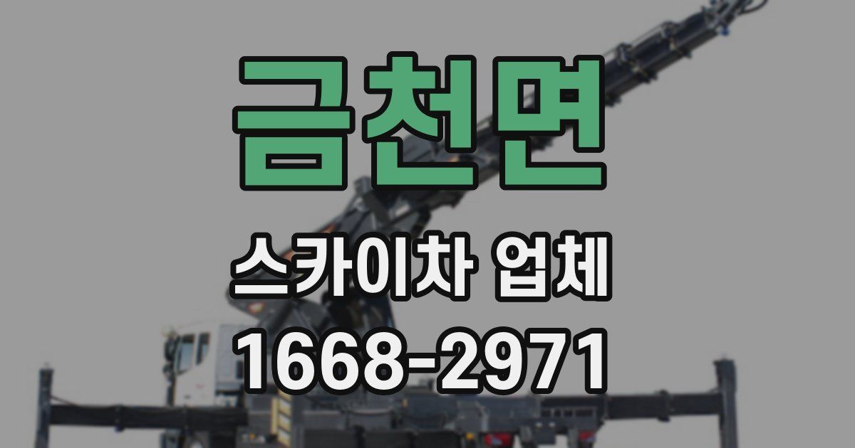 금천면 스카이차 업체