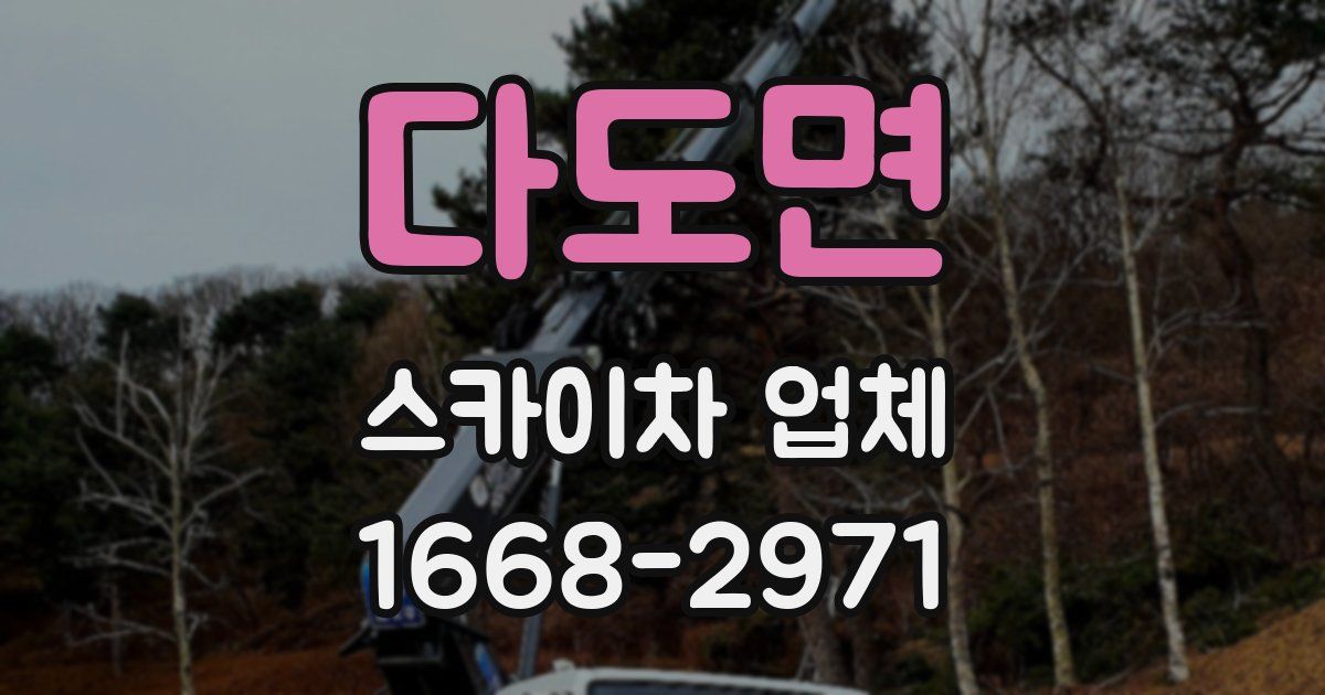 다도면 스카이차 업체