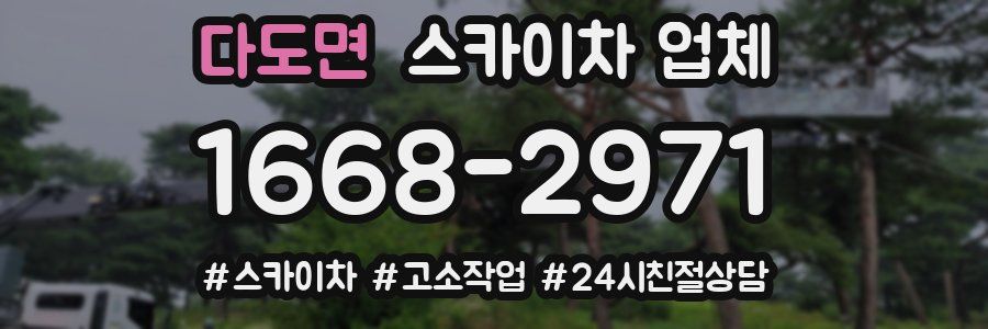 다도면 스카이차 업체