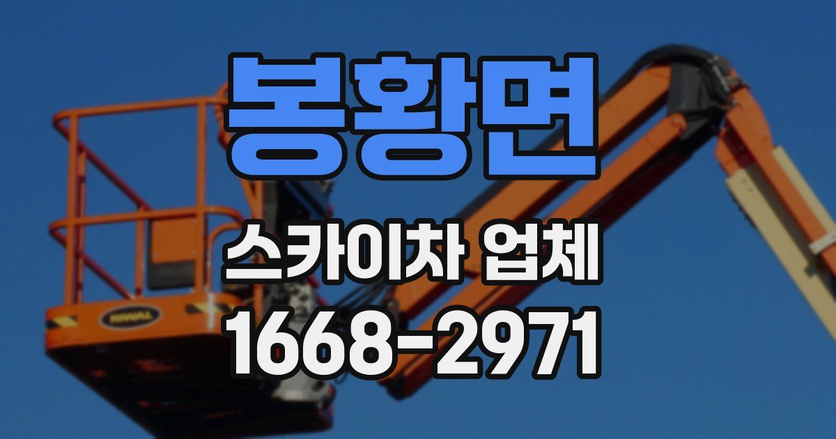 봉황면 스카이차 업체