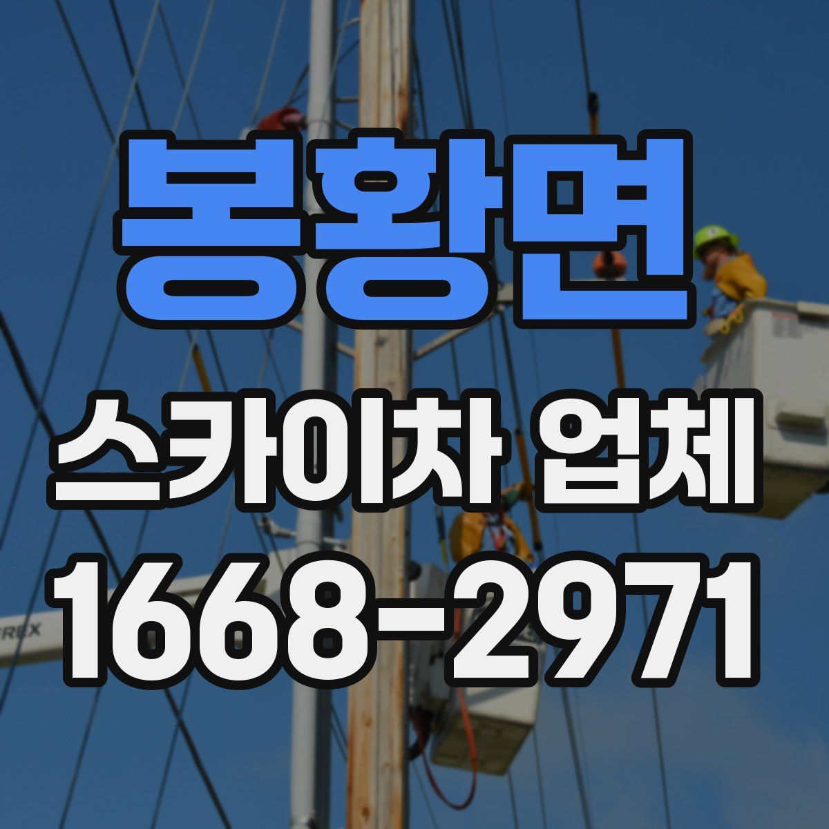 봉황면 스카이차 업체