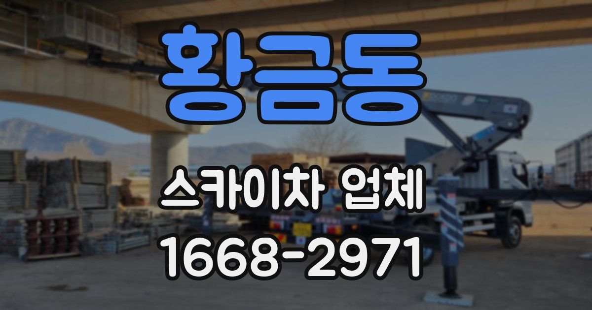 황금동 스카이차 업체