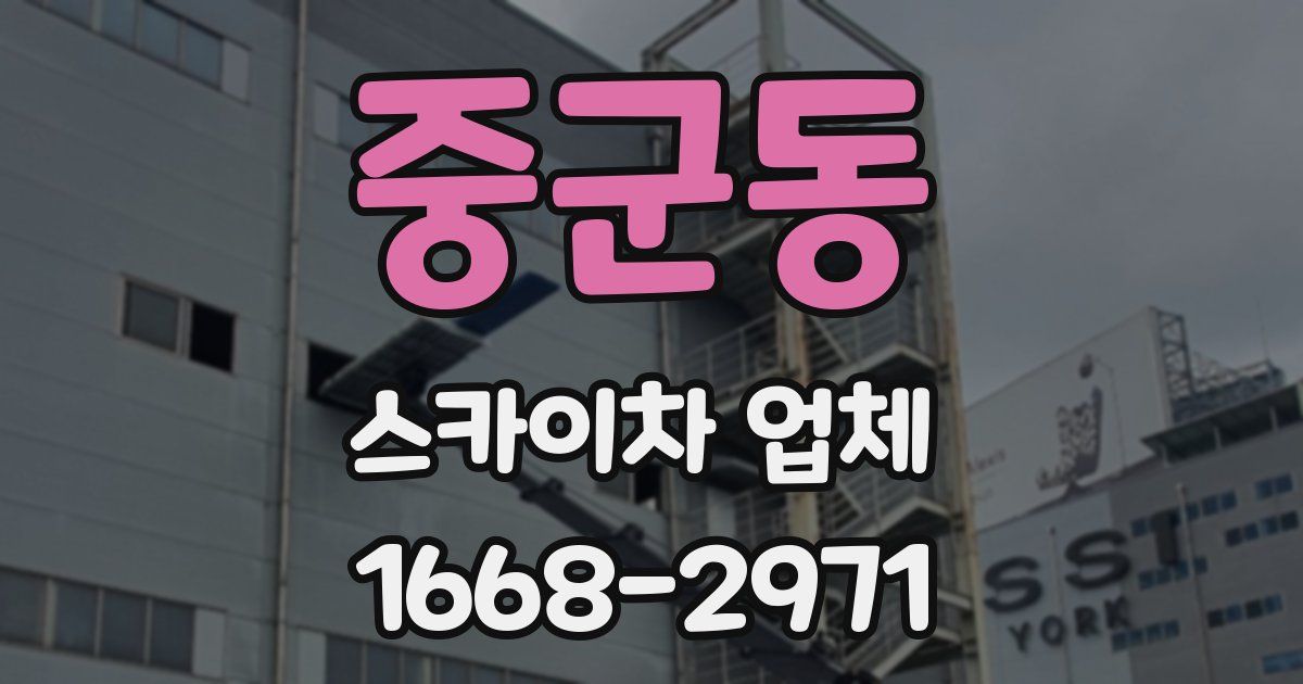 중군동 스카이차 업체