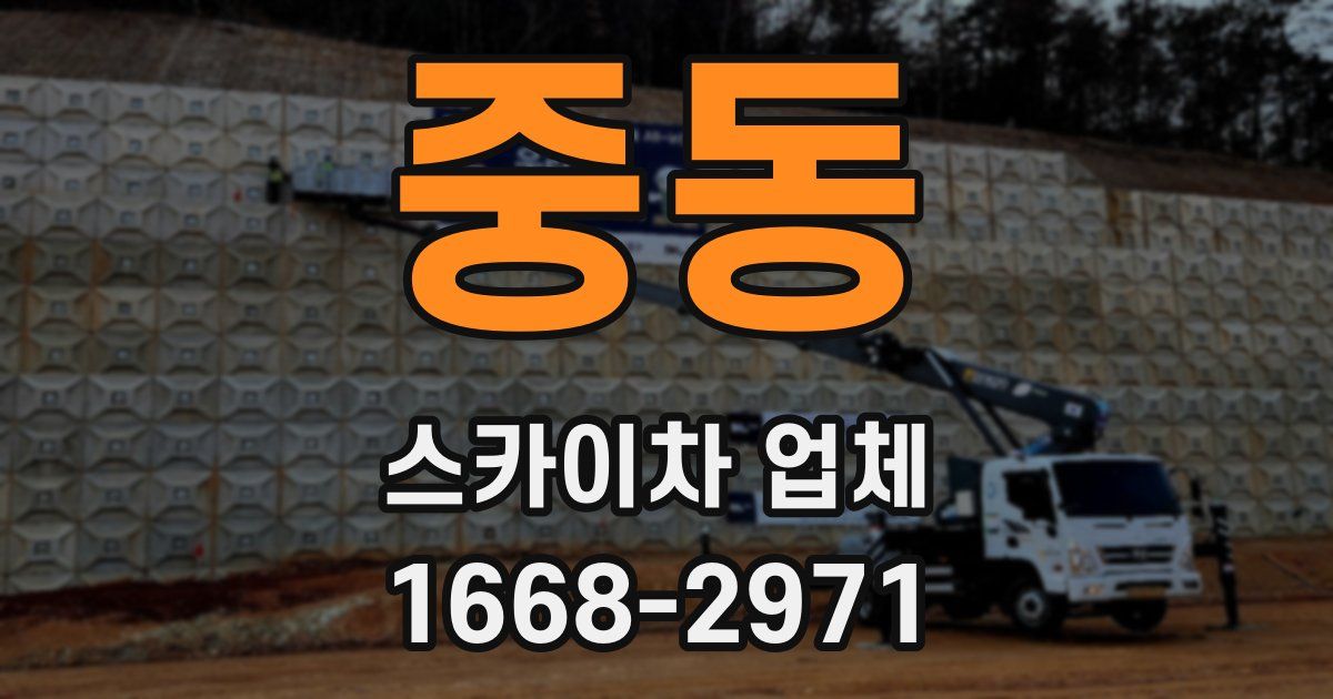 중동 스카이차 업체