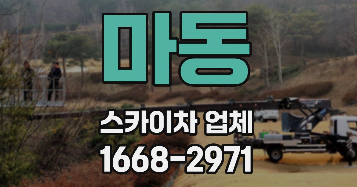 마동 스카이차 업체
