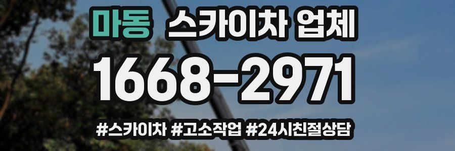 마동 스카이차 업체