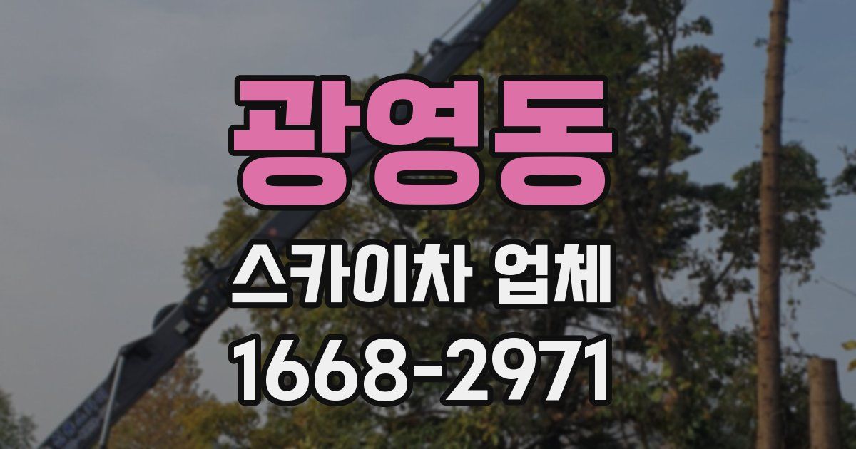광영동 스카이차 업체