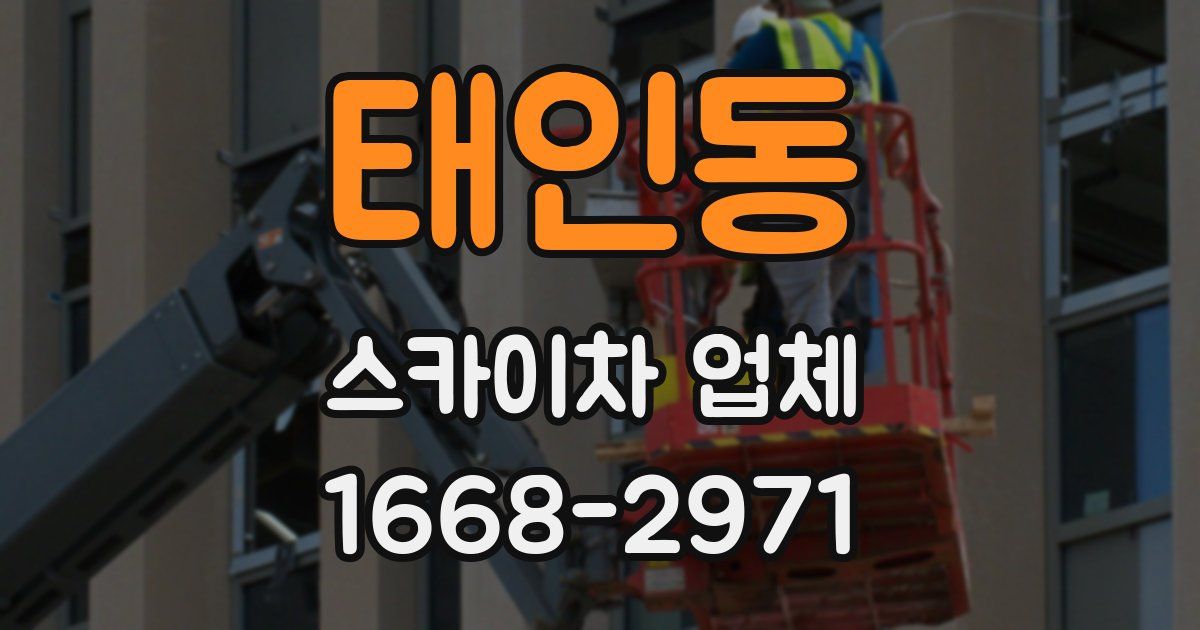 태인동 스카이차 업체