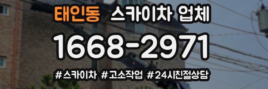 태인동 스카이차 업체
