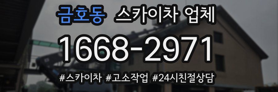 금호동 스카이차 업체
