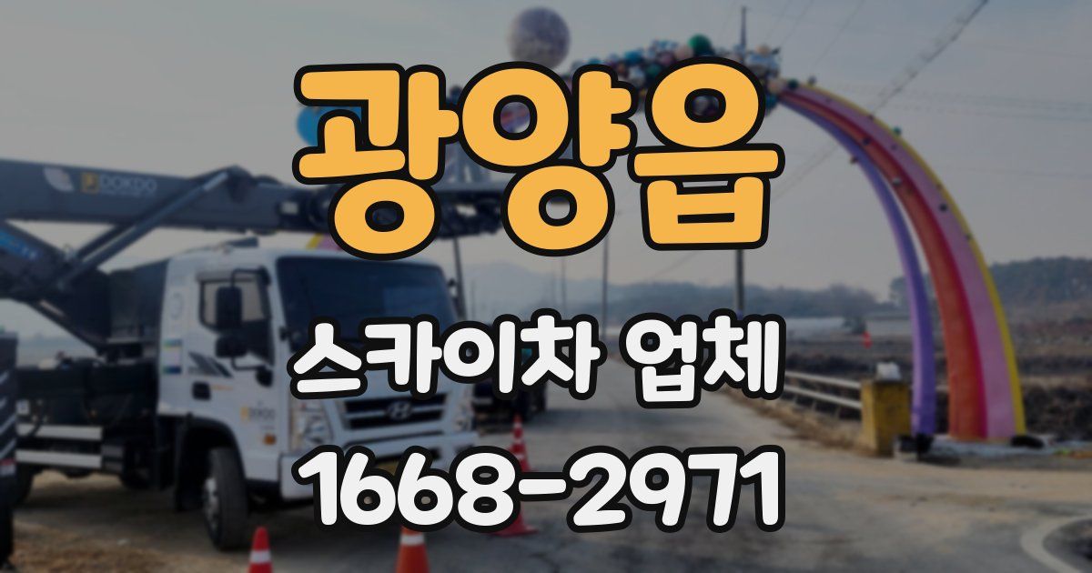 광양읍 스카이차 업체