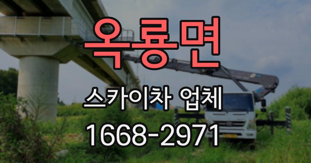 옥룡면 스카이차 업체