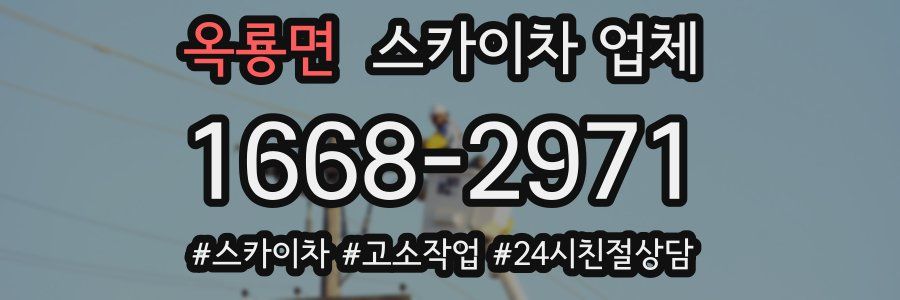 옥룡면 스카이차 업체