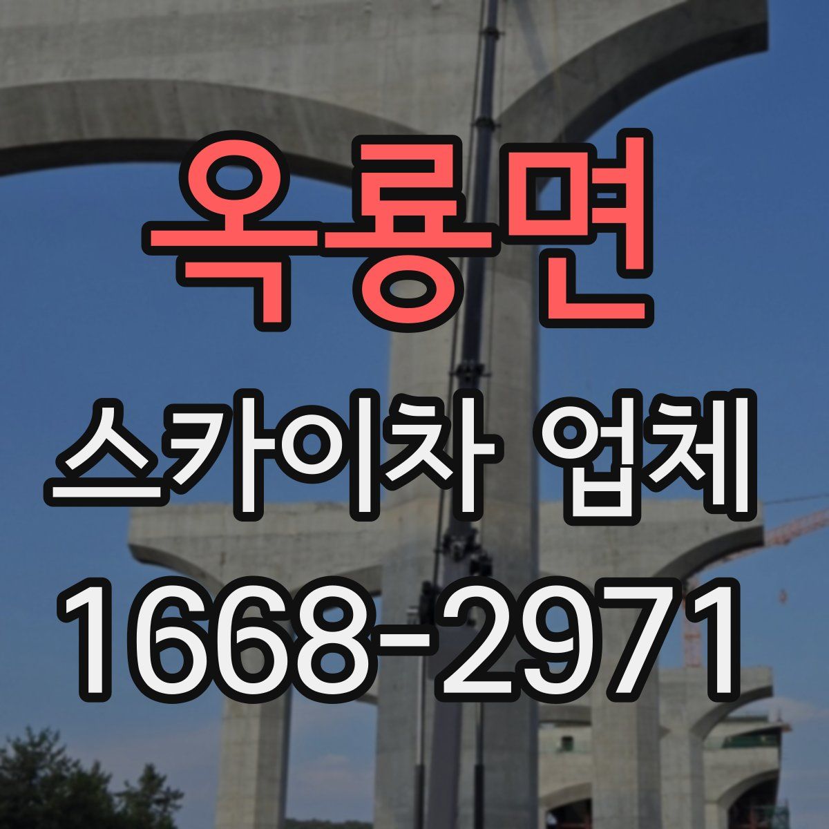 옥룡면 스카이차 업체