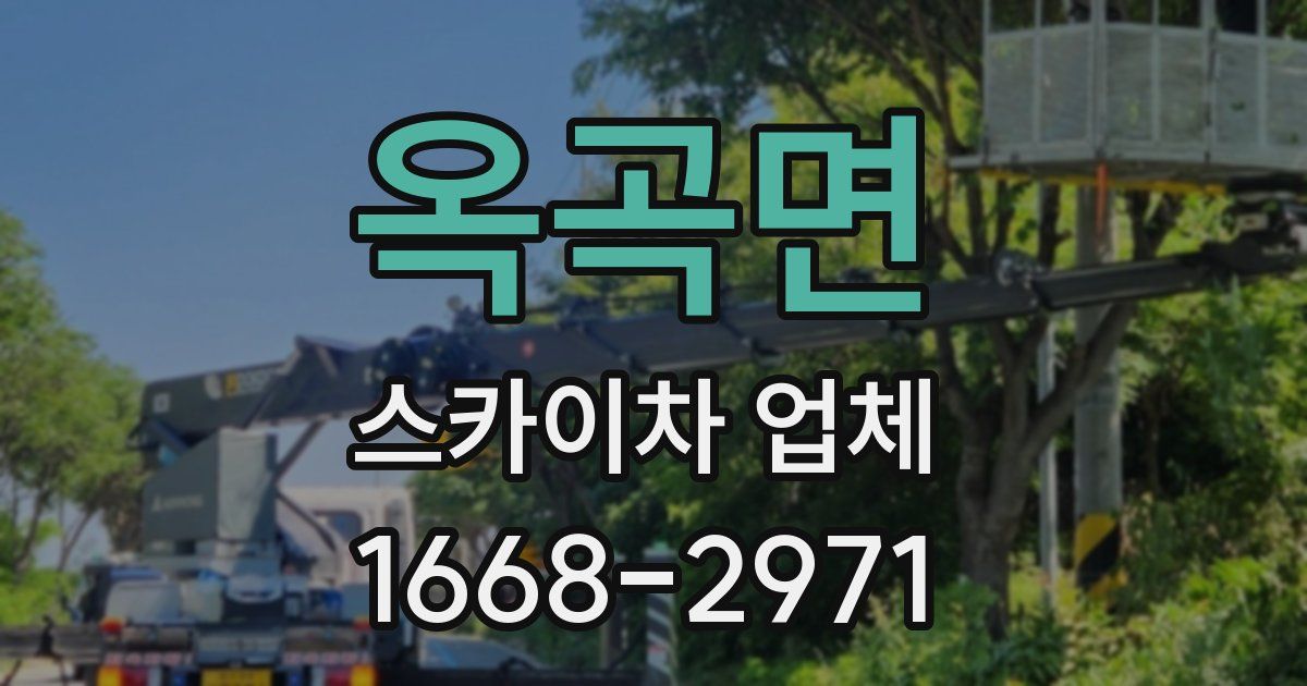 옥곡면 스카이차 업체