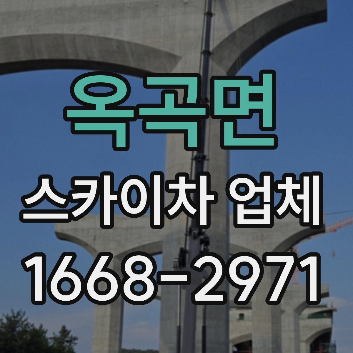 옥곡면 스카이차 업체