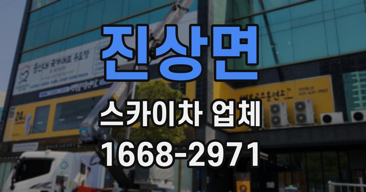 진상면 스카이차 업체
