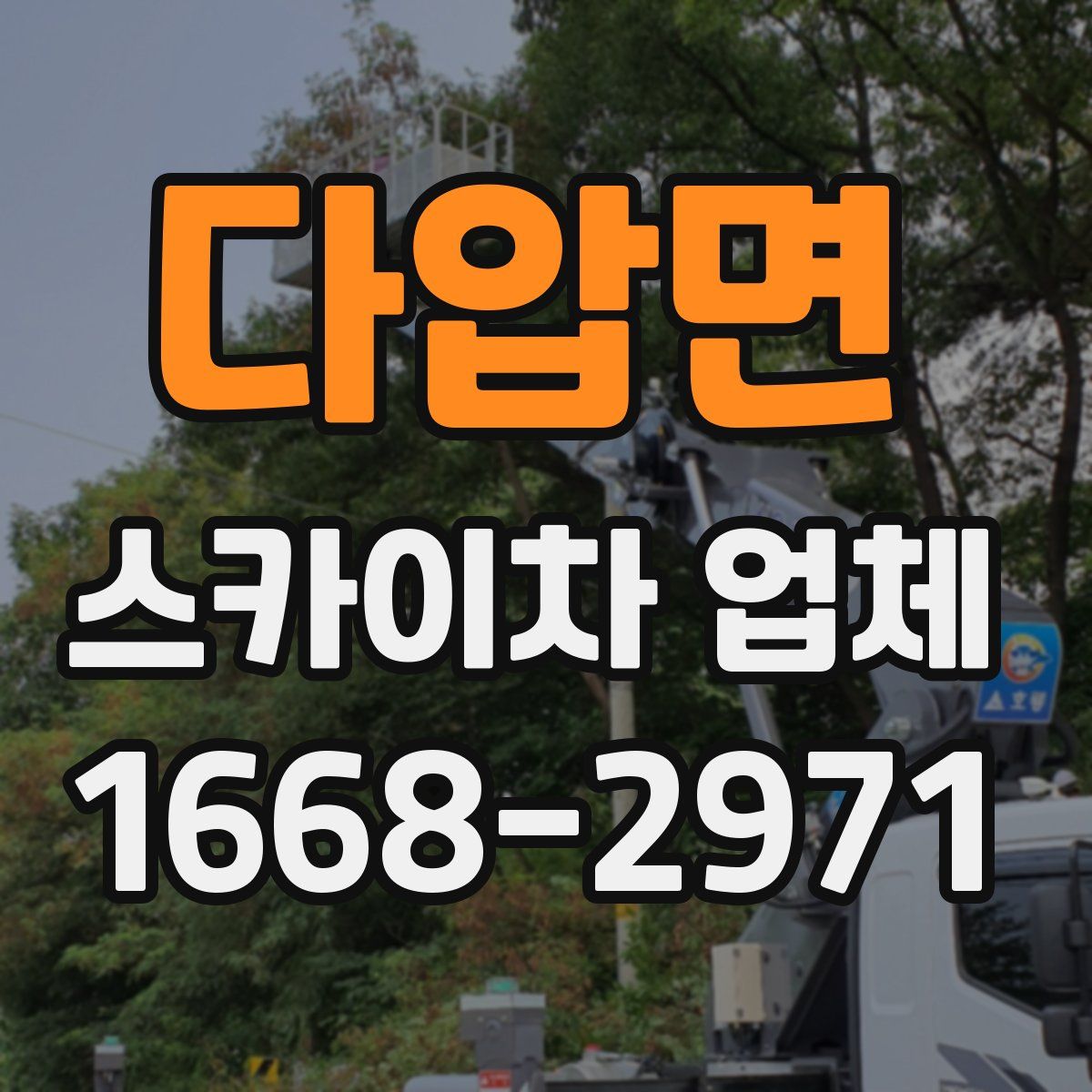 다압면 스카이차 업체