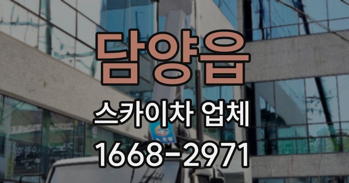담양읍 스카이차 업체