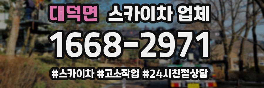 대덕면 스카이차 업체