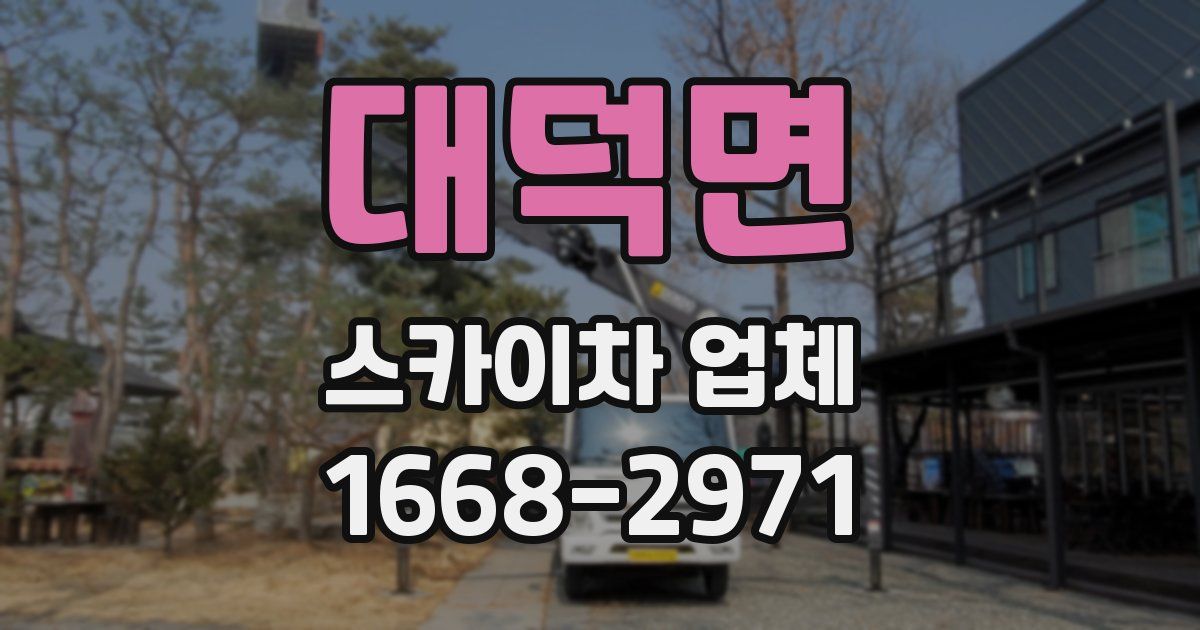 대덕면 스카이차 업체