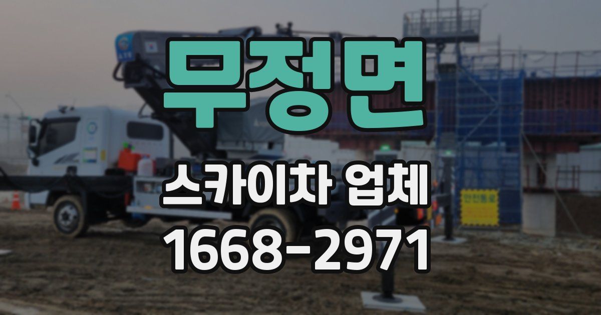 무정면 스카이차 업체
