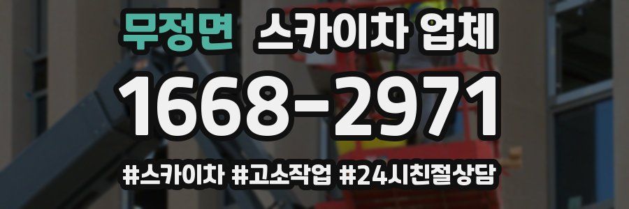 무정면 스카이차 업체