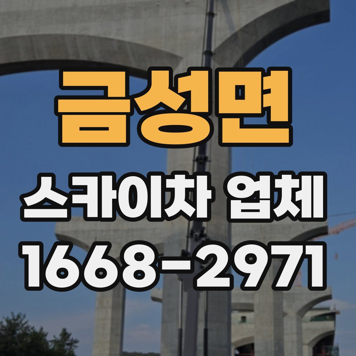 금성면 스카이차 업체