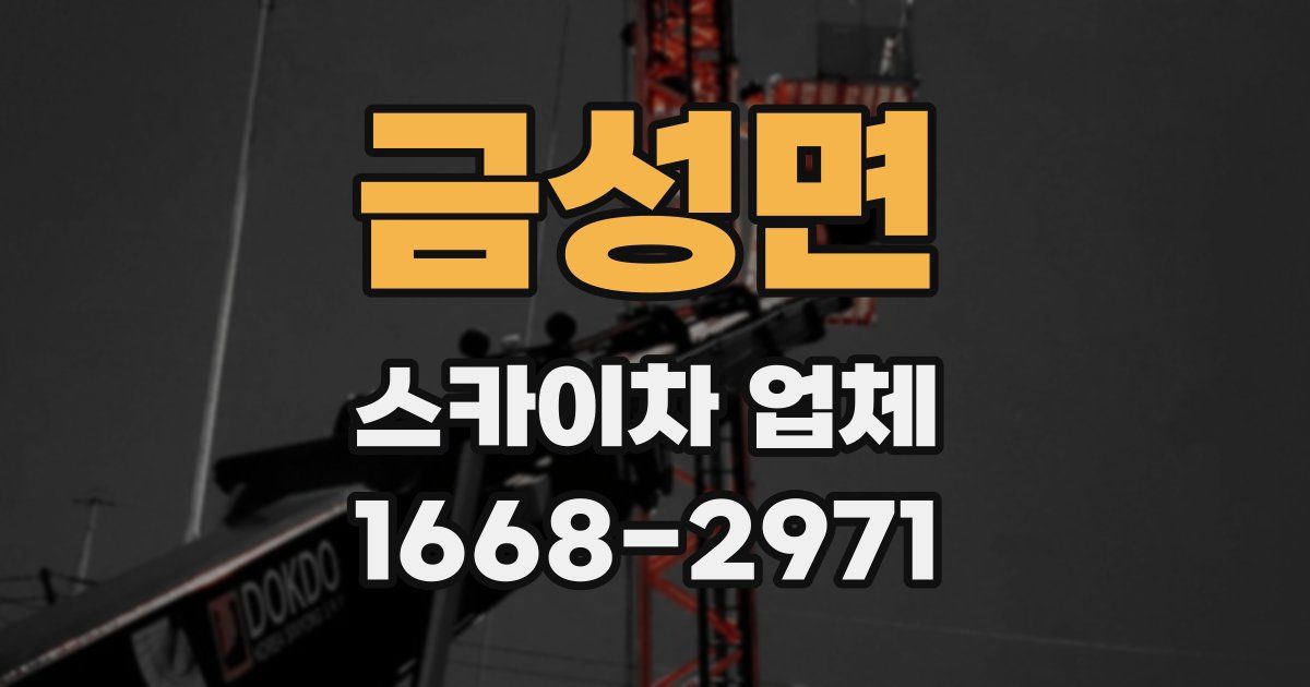 금성면 스카이차 업체